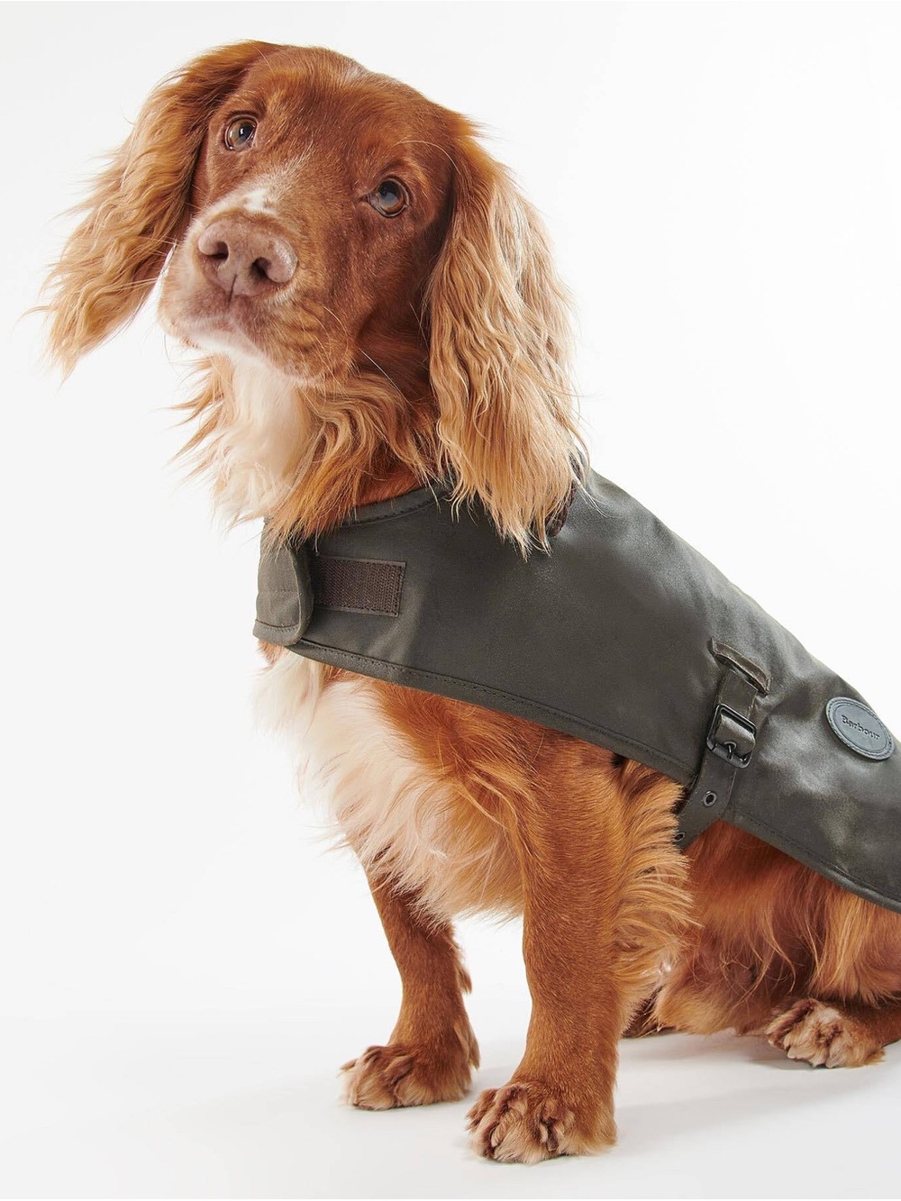 Barbour waxed dog coat size XL